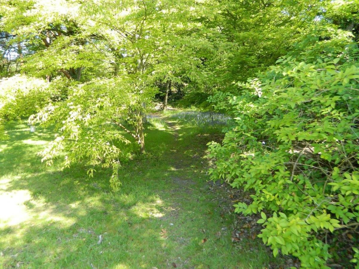 River Cottage A Country Retreat In Wooded Gardens East Stoke  Exterior foto